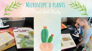 Microscope'd Plants | Plants Unit Study | Dearlyndsey