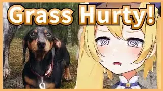 Dokibird's Doki Doge Is A Majestic Wolf Allergic To Chicken