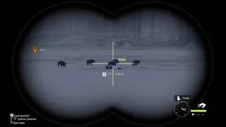 WILD BOAR GREAT ONE 3 MODS THEHUNTER COTW @ MY FEEDE i dont use mods any more THEHUNTER  COTW PC