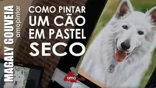 Como pintar um cão em pastel seco. Técnica de Giz pastel