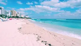ASMR Exploring South Beach Miami: History, Nature, and Relaxation (For Sleep)