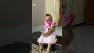 Обезьянка ЛиЛи обняла свою маму на прощание #шорты #обезьянка #монкиЛили #умнаяобезьянка #милая #...