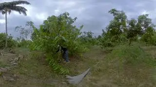 Sustainable Rural Project 4 - Learning to protect the younger plants