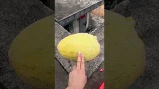 Experiment: Will watermelons and cantaloupes explode if rolled down a tall building? 🍉💥#shorts