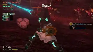 Shielding the Hylian Soldiers