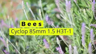 BEES Cyclop 85mm 1.5 H3T-1 ( Циклоп )