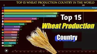 TOP 15 WHEAT PRODUCTION COUNTRY IN THE WORLD|Chart Knowledge