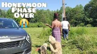 Farm chores 12.5 acre Kentucky Homestead