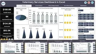 Veterinary Services Dashboard in Excel