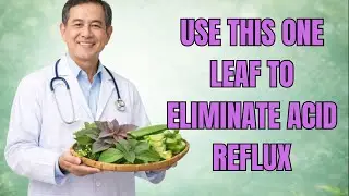 SURPRISING! 7 LEAVES THAT HELP ACID REFLUX & HEARTBURN EASE NOTICEABLY