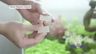 Chihiros Magnet Cleaner - Mini Nano