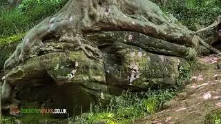 Country Walks: Hastings Nature Reserve