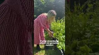 Вакансии в садоводстве на июль #садоводство #выращивайсвоюеду #шорты