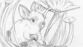 The Bunny and The Mouse: part 1