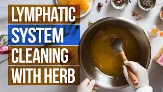 lymphatic system Food