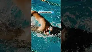 Swimming Can Effectively Boost Your Libido | Hammer of Thor Capsule