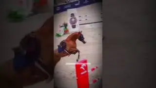 Watch to end 😳😨😍 #horsefail #horsefails #horsefailsandfalls #tunier #showjumping #springreiten