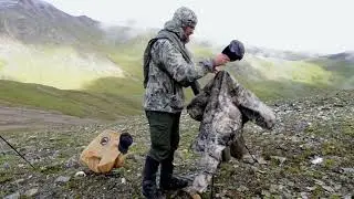 Sheep Hunting with Alaska Wilderness Enterprises | Joe Letarte