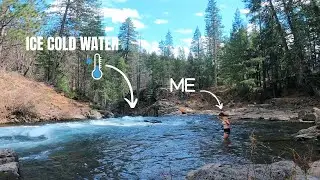 Hiking to a Waterfall, Cold Plunge & Camping in My Van