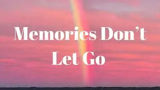 Memories Don’t Let Go | sad song (Lyrics) | Theara Lyric