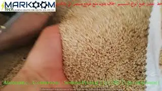Automatic Sesame Peeling Line - Dry Type Peeling of All Kind of Sesame