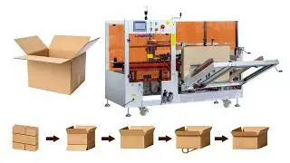 Automatic Carton Erectors Machine | Intelligent Case Erecting Machine