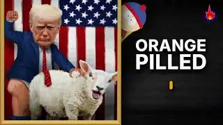 Orange-Pilled &mdash; Mini-Doc About A Teeny Weenee & The Bigger Picture You Can't Ignore