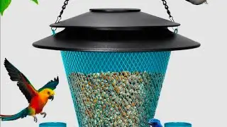 Metal Solar Wild Bird Feeder Hanging Outdoor Squirrel Proof Rust Resistant Review
