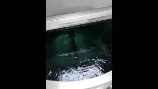 2300L SS316 tank with slow speed stirrer