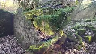 Allanton Recce