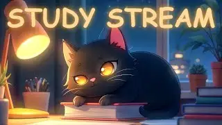 🐱📚 Помощник для учёбы: Лофай стрим 24/7