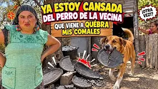 Otras vez volvieron a romper mi comal.