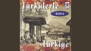 Meşeli Dsğlar
