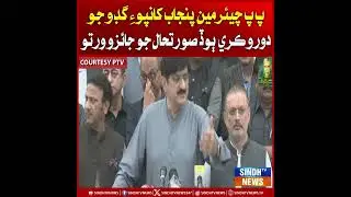 PPP Chairman Punjab kanpoo Guddu jo doro kari bood soorat-e-haal jo jaizo virto