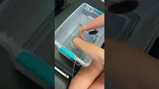 Neubie by Neufit - Water Bath