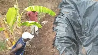 cheaper water harvesting using quality damliners.kivandini area mwala machakos county.