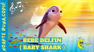 🎶🎵 BEBE DELFIN (BABY SHARK) 🐬💦 🐬💦
