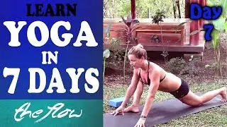 Day 7 The Flow - Yoga For Complete Beginners