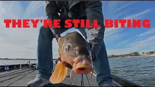 Cold water bass fishing.  They're still biting