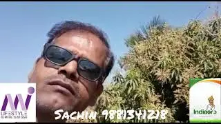 Indiagro product amazing result on mango tree