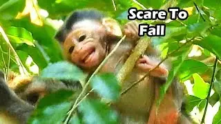 Worry About Fall ALBa Cry Out Loudly Want To Hug |Where Mum ANNa Don't Care |ANNa Want ALba Try Hard