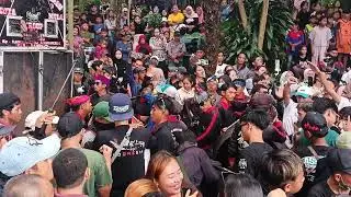 CUTA MUDA NGAREAK DI TEMPAT #cutamuda#kudarenggong #reak 
