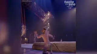 Cirque du Soleil bringing high-energy show to Tampa&nbsp;Bay | Taste and See Tampa Bay
