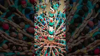 dahi handi special ❤️✨ | shree krishna janmashtami status | WhatsApp status | shorts video | #shorts
