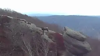 Paličn&iacute;k (944 m) i zwierz na szczycie