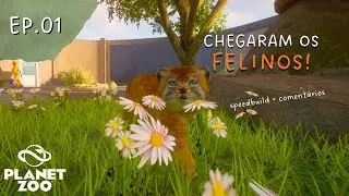 Come&ccedil;ando do ZERO um ZOO s&oacute; com GATINHOS 🐾 | Ref&uacute;gio Felino Ep.01 | Modo FRANQUIA | Planet Zoo PT BR