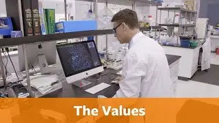 Part 2: The Values