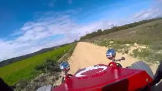 Joyner Matador 650
