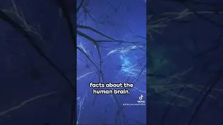 #BrainFacts #NeuroScience #MindBlown#CognitiveWonders #BrainScience#NeuroTrivia