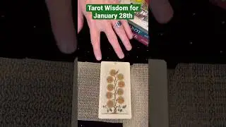 Nine of Pentacles